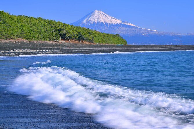 Private Sightseeing Tour from Shimizu Port / Sedan Taxi - Kunozan Toshogu Shrine: Tokugawa Ieyasu And Stone-Step Reality