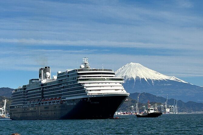 Private Sightseeing Tour from Shimizu Port / Sedan Taxi - Japan’s Observatory Stop: A Second Shot At Mt. Fuji