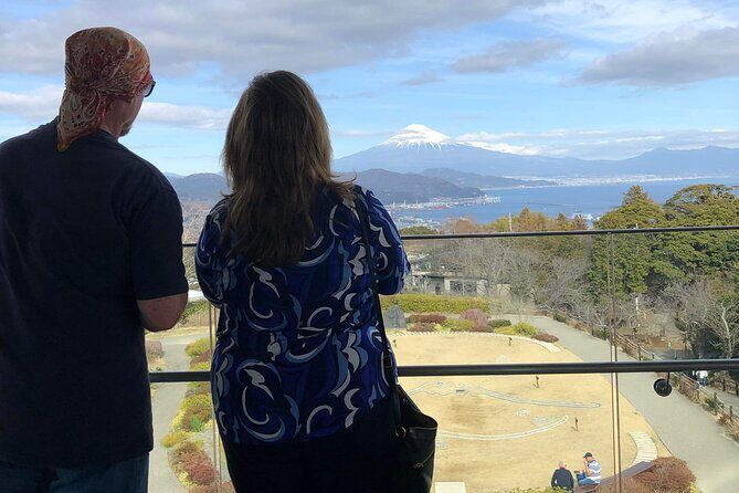 Private Sightseeing Tour from Shimizu Port / Sedan Taxi - Tea Fields And Ochakaikan: Green Tea Views That Actually Help