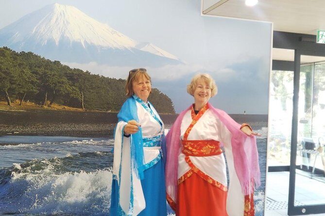 Private sightseeing tour from Shimizu Port / Van Taxi - Why This Private Van Taxi Works for Shimizu Port Days