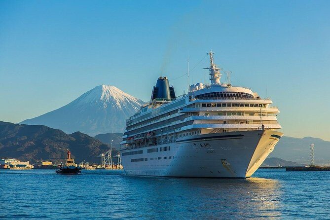 Private sightseeing tour from Shimizu Port / Van Taxi - Nihondaira Ropeway: The Best Views Come With the Waiting Game