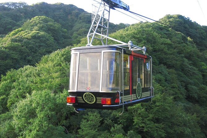Private sightseeing tour from Shimizu Port / Van Taxi - Mihoshirube Culture Center: Hagoromo Legend When Fuji Hides