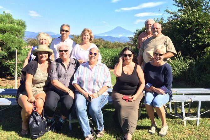 Private sightseeing tour from Shimizu Port / Van Taxi - Pricing and What You Actually Get for $713 per Group