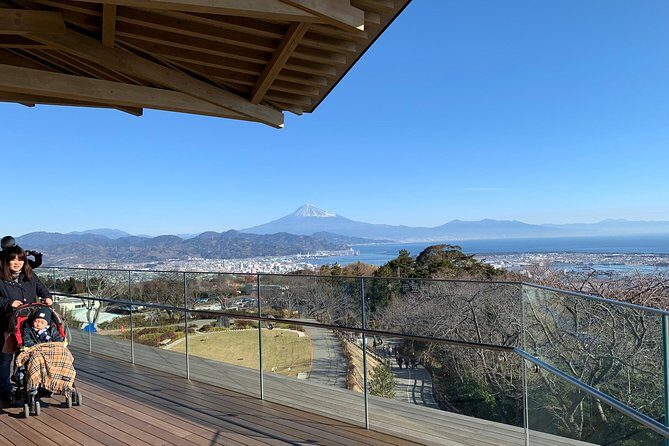 Private sightseeing tour from Shimizu Port / Van Taxi - Kunozan Toshogu Shrine: Tokugawa Ieyasu Up Close (and Stairs Ahead)