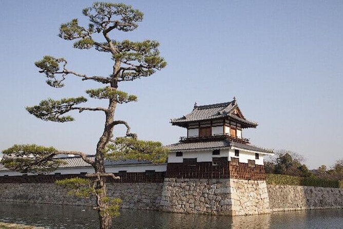 Private Sightseeing Walking Tour in Hiroshima with a Guide - Peace Memorial Park and Peace Memorial Museum: the hardest part, done thoughtfully