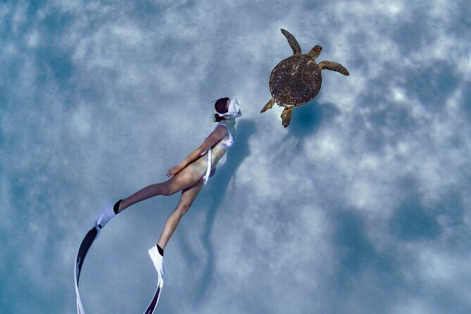 Private snorkeling tour Ishigaki island - Key points worth knowing