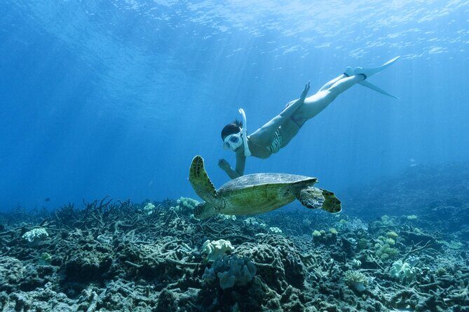 Private snorkeling tour Ishigaki island - Why this Ishigaki snorkeling feels truly private