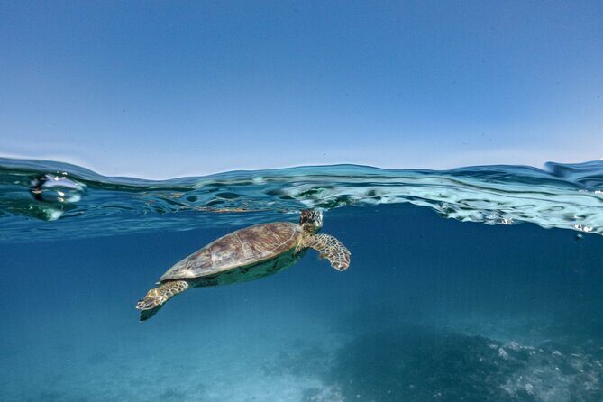 Private snorkeling tour Ishigaki island - Arakawa Falls: the cooldown that makes the day feel complete