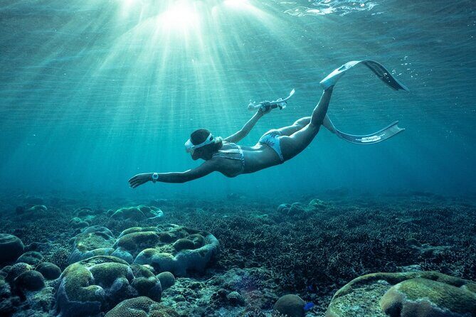 Private snorkeling tour Ishigaki island - Kabira Maetake Farm: a nature-and-flavor stop, not just a photo stop