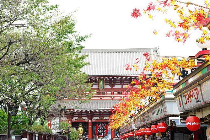 Private Tokyo Custom Full-Day Tour by Chartered Vehicle - Tsukiji Area (Fish Market): A Morning for Sights, Sounds, and Choices