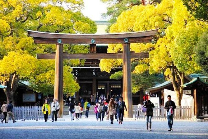 Private Tokyo Custom Half-Day Tour by Chartered Vehicle - Designing your half-day: mix temples, markets, and skyline