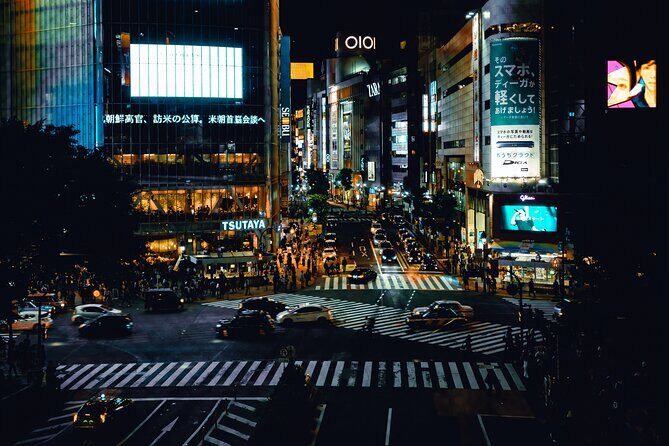 Private Tokyo Day-Tour by Car with English Speaking Guide. - What the 8–9 hours feels like on the ground