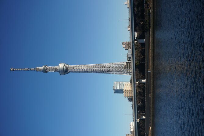 Private Tokyo Day-Tour by Car with English Speaking Guide. - Tokyo Skytree: the big symbol moment