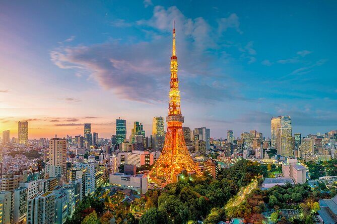 Private Tokyo Tour with English Speaking Guide - Shinjuku for 1 hour: skyscrapers, energy, and options