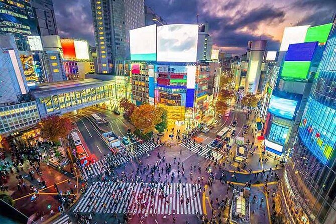 Private Tokyo Tour with English Speaking Guide - Meet-up in Marunouchi: start where transit is easiest