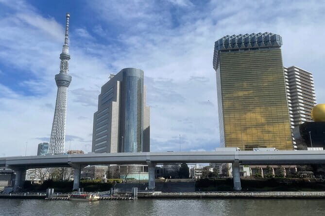 Private Tokyo Tour with Local Guide - Tsukiji Fish Market: Morning Energy and Food-First Tokyo