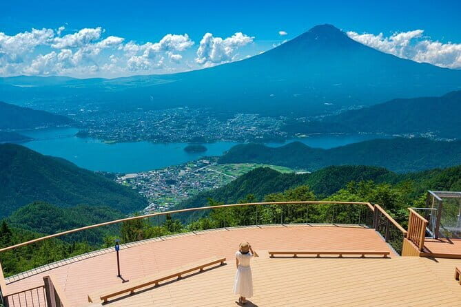 Private Tokyo with Exceptional Guide Tailored to Your Needs - Who should book this Tokyo private tour?