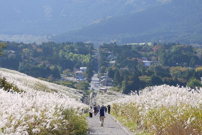 Private Tour - Hakone Day Trip! A Tour to Explore All Must-Sees! - Ajisai Bridge: Vermilion Photos Near Hakone-Yumoto