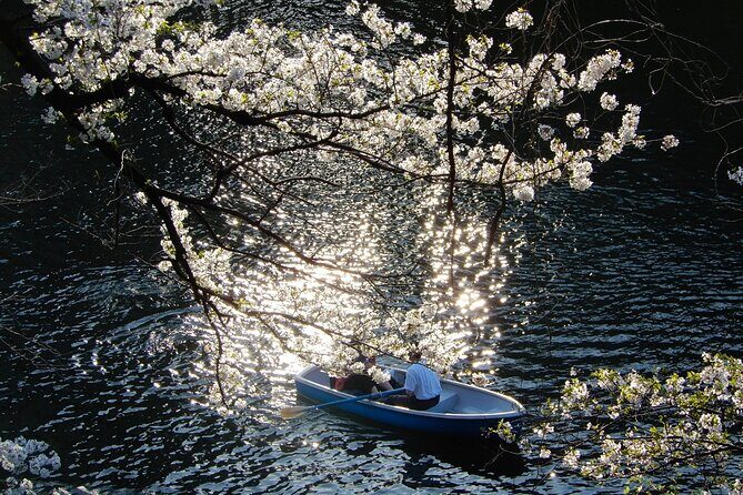 Private Tour - History, Art and Nature at the Imperial Palace - Kitanomaru Park lawns and CAFÉ 33: a nature-and-food reset