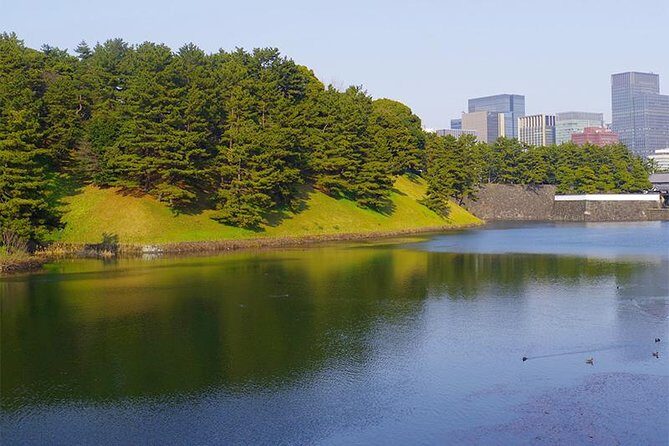 Private Tour - History, Art and Nature at the Imperial Palace - Price and extra costs: when $90.60 per person feels fair