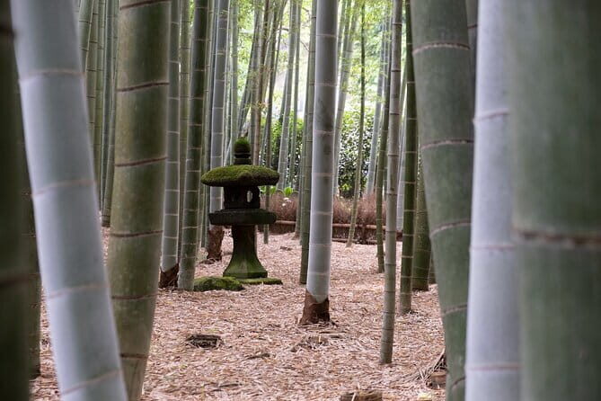 Private Tour in Kamakura: Matcha Tea Tasting & Photo Session - What to do with your camera (and your expectations)