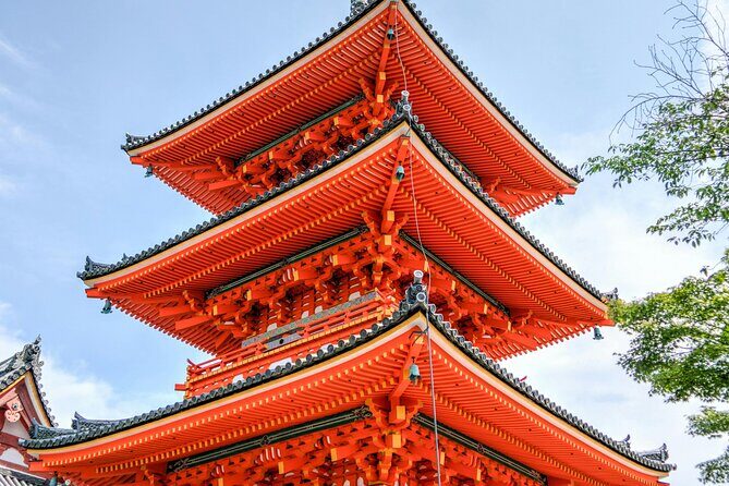 Private Tour in Tokyo with English speaking driver - Ueno Park when you want space (and maybe cherry blossoms)