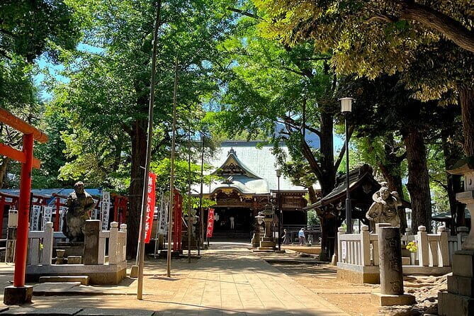 Private Tour in Tokyo with Local Guide - Who this private Tokyo day is best for