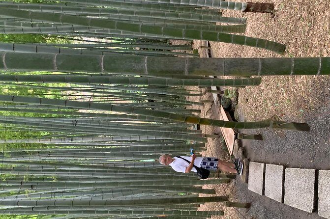 Private Tour Kamakura and Enoshima With Guide and photographer - Price and value: $503 for up to 5 people (what that buys)