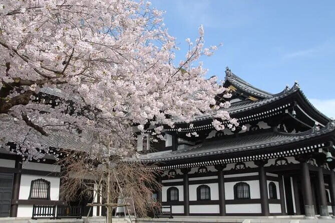 Private Tour Kamakura Yokohama Day Trip English speaking driver - Why Kamakura plus Yokohama makes a great single day