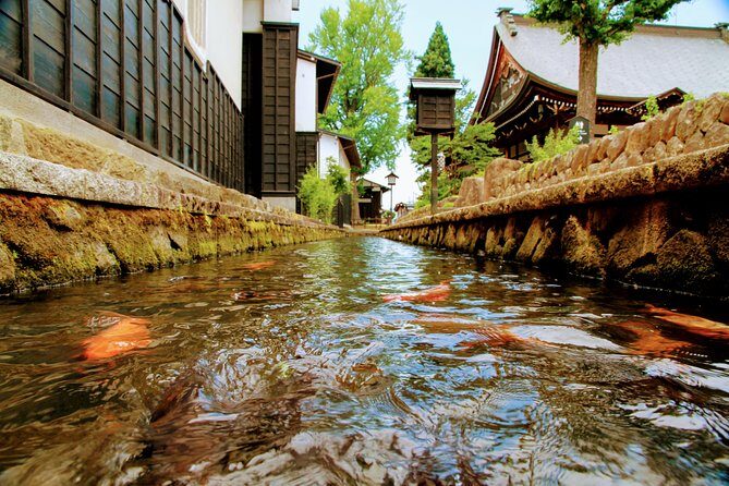 Private Tour Kanazawa, Shirakawago, Hida Furukawa,Takayama - Takayama old town: carpentry heritage and sake culture in a two-hour window