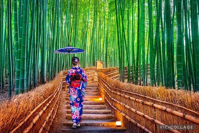 Private Tour Kyoto-Nara w/Hotel Pick Up & Drop off from Kyoto - Todai-ji: plan for the Great Buddha, plus the ticket reality