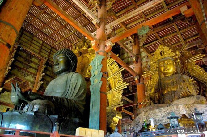 Private Tour Kyoto-Nara w/Hotel Pick Up & Drop off from Kyoto - Nara Park deer time: short window, big payoff