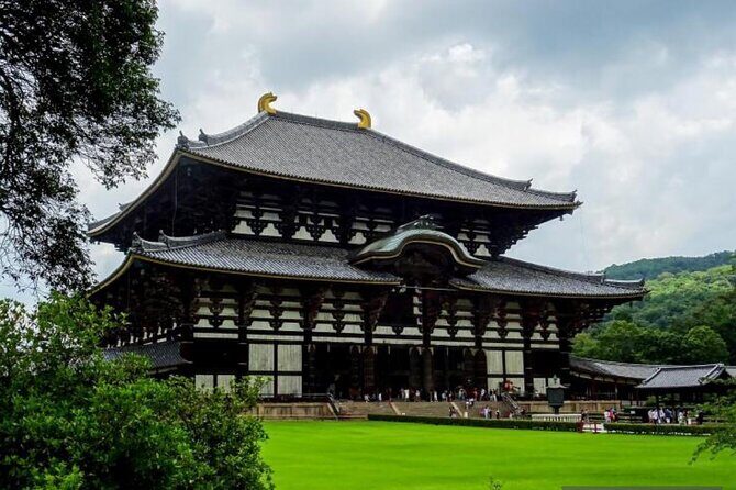 Private Tour Kyoto-Nara w/Hotel Pick Up & Drop off from Kyoto - Arashiyama Kimono Forest + Bamboo Forest: two looks, one area