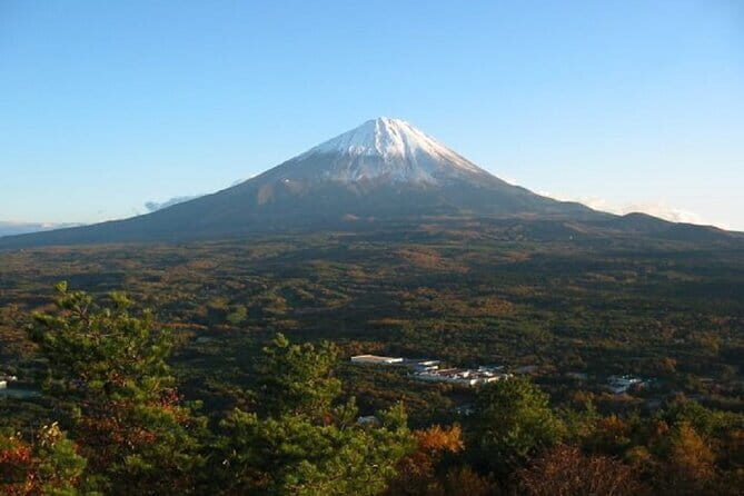 Private Tour of Mt. Fuji Culture and Nature Walk - Aokigahara Forest walk and forest bathing in real time