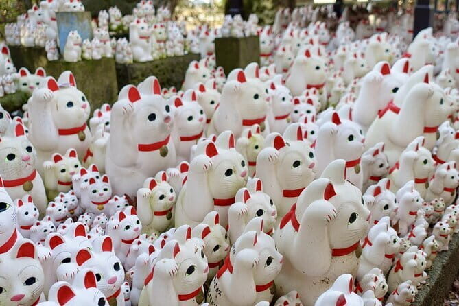 Private Tour - Thousands of lucky cats! Go by tram, Gotokuji Tour - Key highlights worth your time