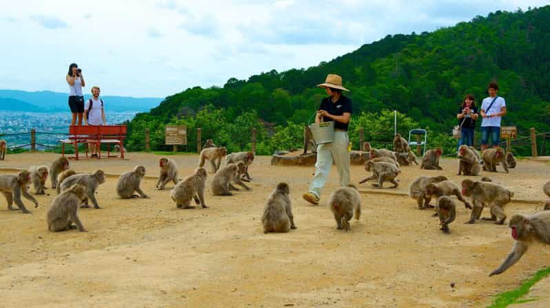 Private Tour to Monkey Park and Arashiyama Highlights - Key moments that make this tour work
