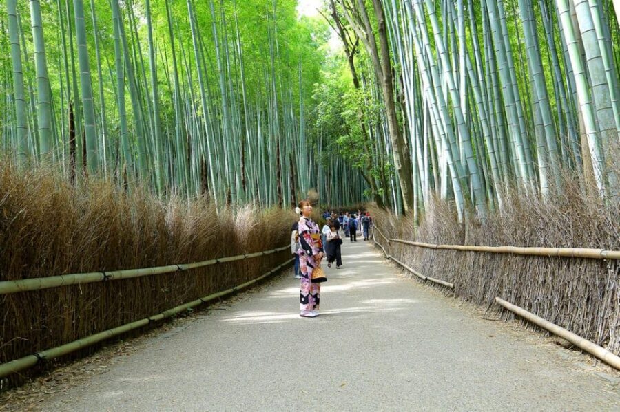 Private Tour to Monkey Park and Arashiyama Highlights - What to bring and what to wear (so you’re not stuck later)