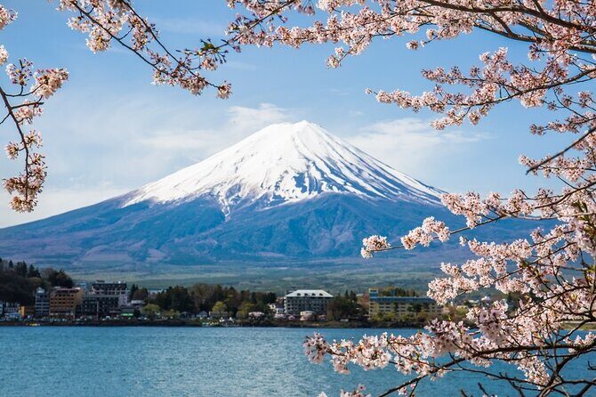Private tour to Mount Fuji and Hakone from Tokyo - Key points to plan around