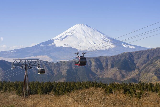 Private tour to Mount Fuji and Hakone from Tokyo - Price and tickets: what’s included, what costs extra
