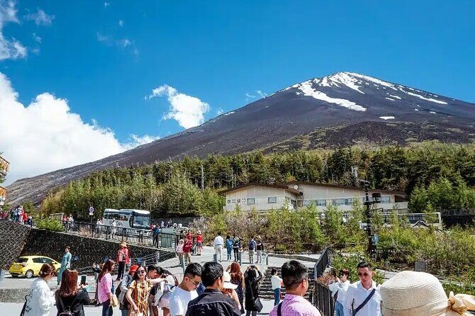 Private tour to Mount Fuji and Hakone from Tokyo - Logistics from Tokyo: how to avoid losing time