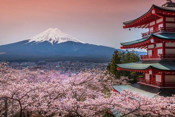 Private tour to Mount Fuji and Hakone from Tokyo - The Mount Fuji cluster: temples, ponds, lakes, and the 5th Station