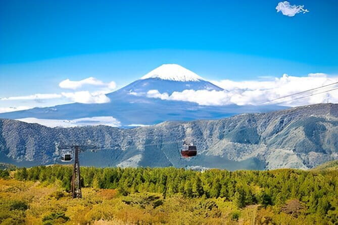 Private Tour to Mount Fuji & Hakone with Gotemba Outlets English - Key Points at a Glance