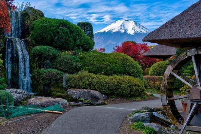Private tour to Mount Fuji with an English driver from Tokyo - Price and the value math (what you actually pay)