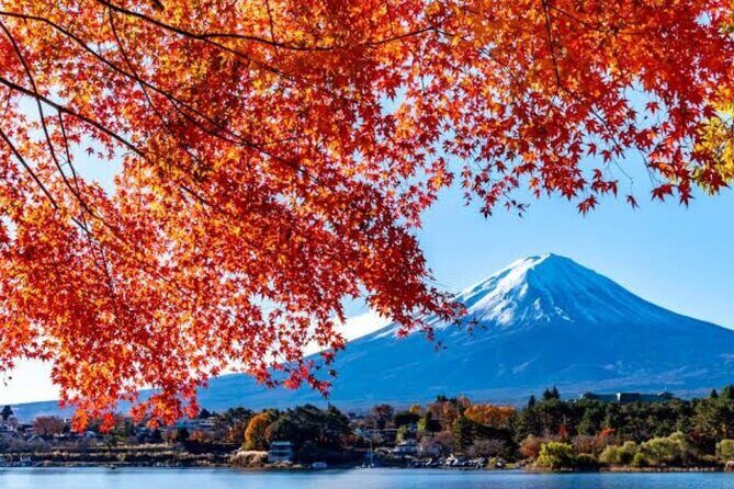 Private tour to Mount Fuji with an English driver from Tokyo - Stop 2: Oshino Hakkai (ponds, charm, and a slower pace)