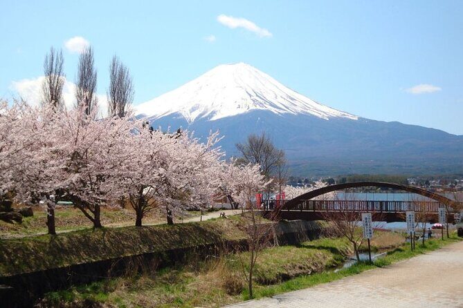Private tour to Mount Fuji with an English driver from Tokyo - Stop 3: Oishi Park (Lake Kawaguchi views you can actually enjoy)