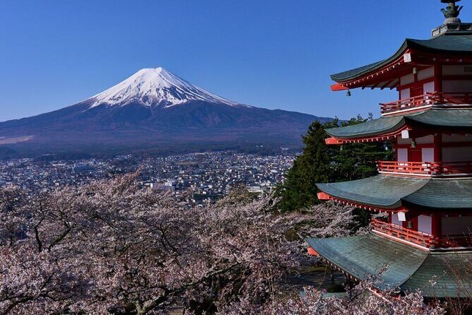 Private tour to Mount Fuji with an English driver from Tokyo - The day’s rhythm: how the stops feel in real time