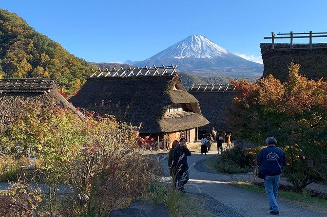Private Tour to Mt. Fuji and Hakone (Fully Licenced Operator) - The Real Value: What You Get When It’s Truly Private (Up to 5)