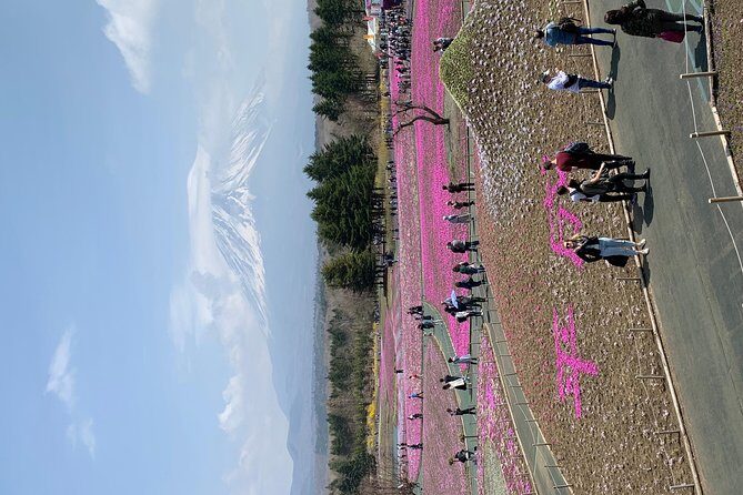Private Tour to Mt. Fuji and Hakone (Fully Licenced Operator) - Lake Ashi and Hakone: The Pirate-Ship Atmosphere