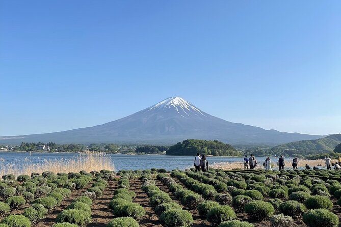 Private Tour to Mt Fuji and Hakone with English Speaking Driver - Why a private Mt. Fuji and Hakone day works from Tokyo