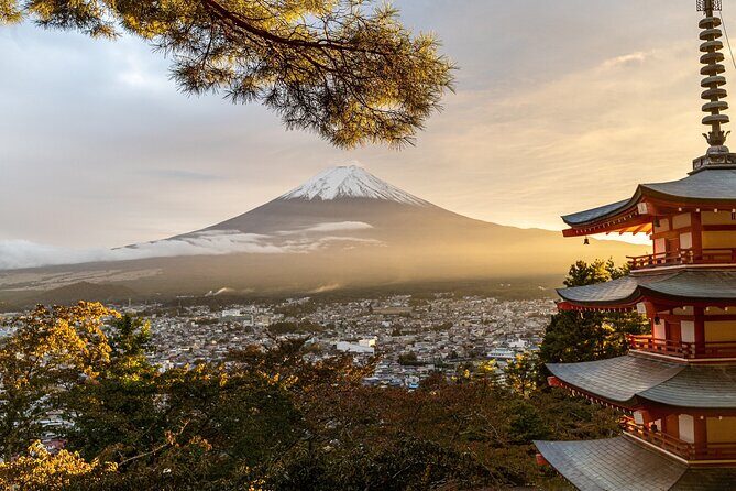 Private Tour to Mt Fuji and Hakone with English Speaking Driver - Lake Kawaguchiko and the Fuji photo hunt